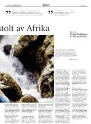 Síða 27