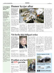 Síða 3