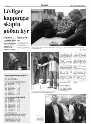 Síða 8
