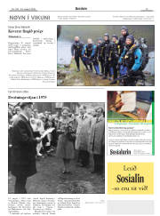 Síða 13