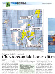 Síða 18