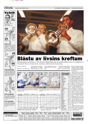 Síða 15