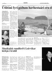 Síða 8