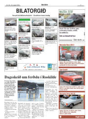 Síða 17