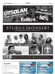 Síða 25