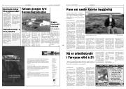 Síða 3