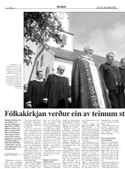 Síða 8