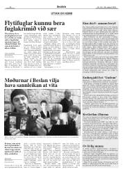 Síða 28