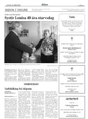 Síða 15