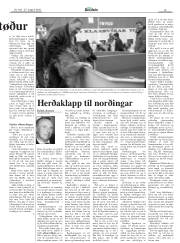 Síða 19