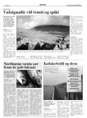 Síða 8