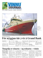 Síða 15