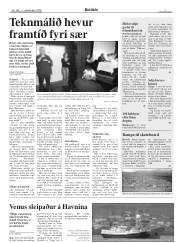 Síða 7