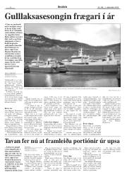 Síða 8