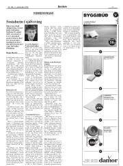 Síða 11