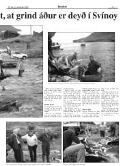 Síða 15