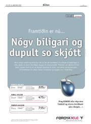 Síða 3