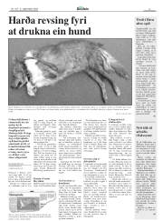 Síða 5