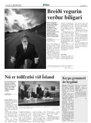 Síða 9