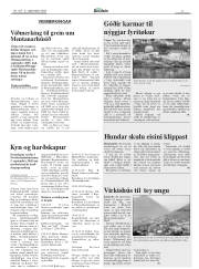 Síða 11