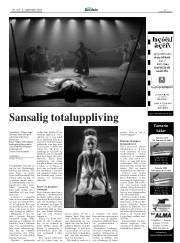 Síða 17