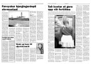 Síða 3