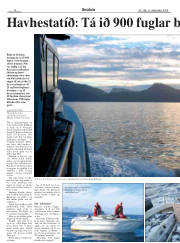Síða 18