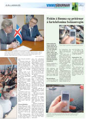 Síða 19