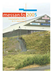 Síða 17