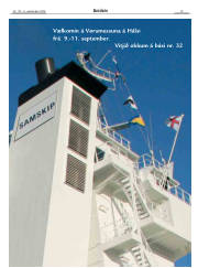 Síða 19