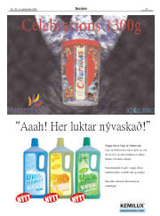 Síða 23