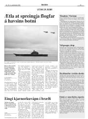 Síða 25