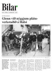 Síða 36