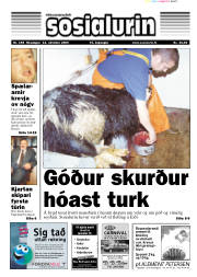Síða 1