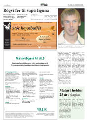 Síða 2