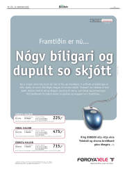 Síða 3