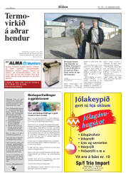 Síða 4
