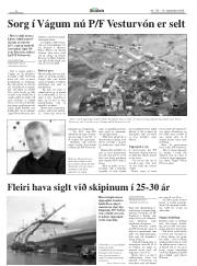 Síða 8