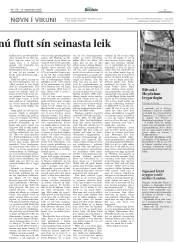 Síða 17