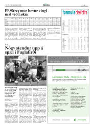 Síða 23