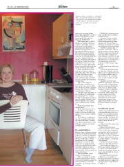 Síða 29