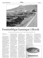 Síða 33
