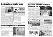 Síða 6