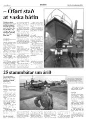 Síða 6