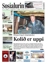 Síða 1