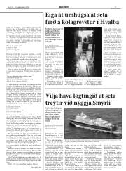 Síða 11