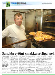 Síða 16