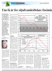 Síða 20