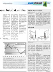 Síða 21