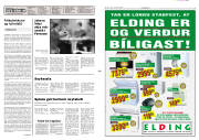 Síða 2